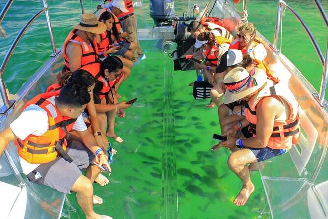 Glass Bottom Boat To the Famous Arch Of Cabo - Accessibility Features