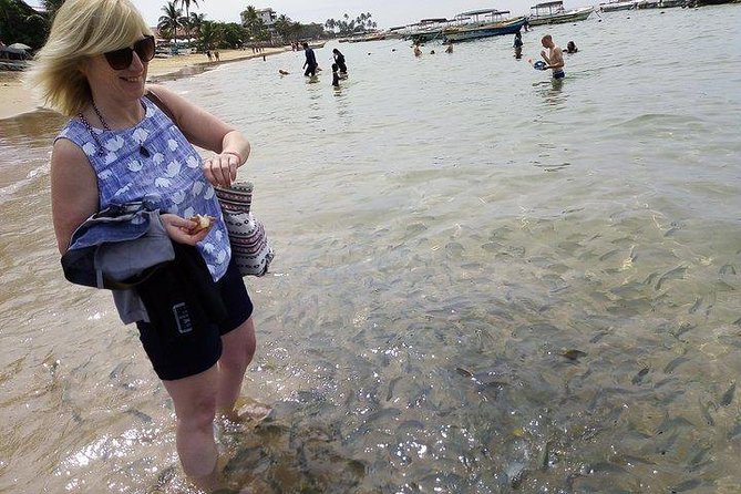 Glass Bottom Boat Tour and Snorkeling Hikkaduwa - Wildlife Encounter