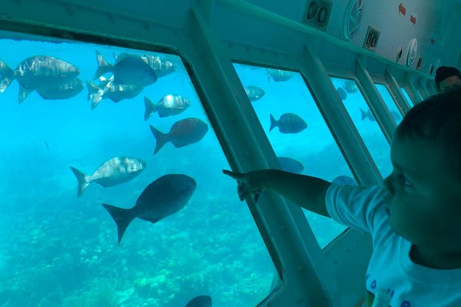 Glass Bottom Boat Tour and West Bay Beach - Tour Overview