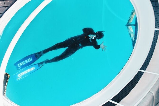 Glass Bottom Boat Tour & Snorkeling in São Miguel, Azores - Cancellation and Refund Policy
