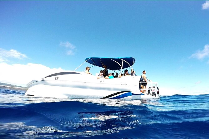 Glass Bottom Boat Tour & Snorkeling in São Miguel, Azores - Exploring the Underwater World