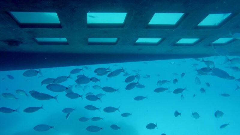 Glass Bottom Boat Trip/ 2 Hours/ Cultural Tour/ Swim Allowed - Tour Overview