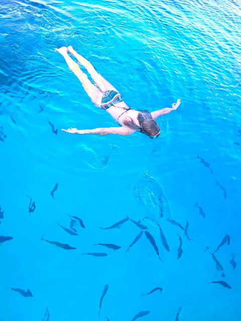 Glass Bottom Boat Trip/ 2 Hours/ Cultural Tour/ Swim Allowed - Booking Process
