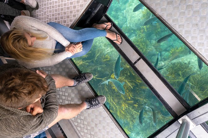 Glass Bottom Boat Whitianga Cathedral Cove Cruise - Customer Ratings and Feedback
