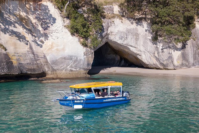 Glass Bottom Boat Whitianga Cathedral Cove Cruise - Highlights of the Cruise