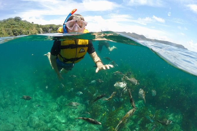 Glass Bottom Boat Whitianga Cathedral Cove Cruise - Crew Expertise and Safety