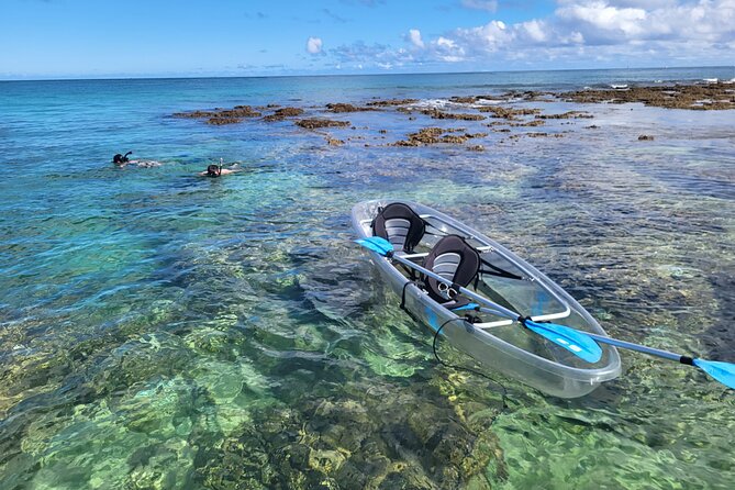 Glass Bottom Kayak - Guaranteed to See Turtles! - Key Points