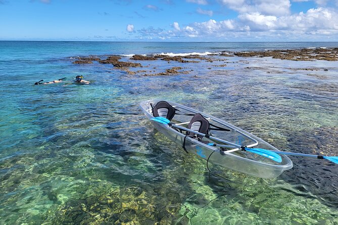 Glass Bottom Kayak - Guaranteed to See Turtles! - Meeting and Pickup