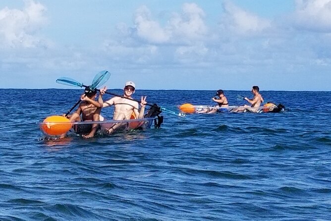 Glass Bottom Kayak - Guaranteed to See Turtles! - Small-Group Adventure Experience