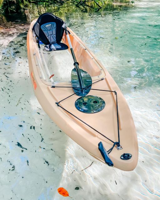 Glass Bottom Kayak Guided Tour: Silver Springs - Meeting Point and Important Information