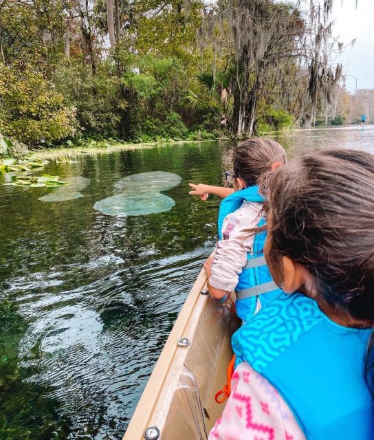 Glass Bottom Kayak Guided Tour: Silver Springs - Customer Reviews and Ratings