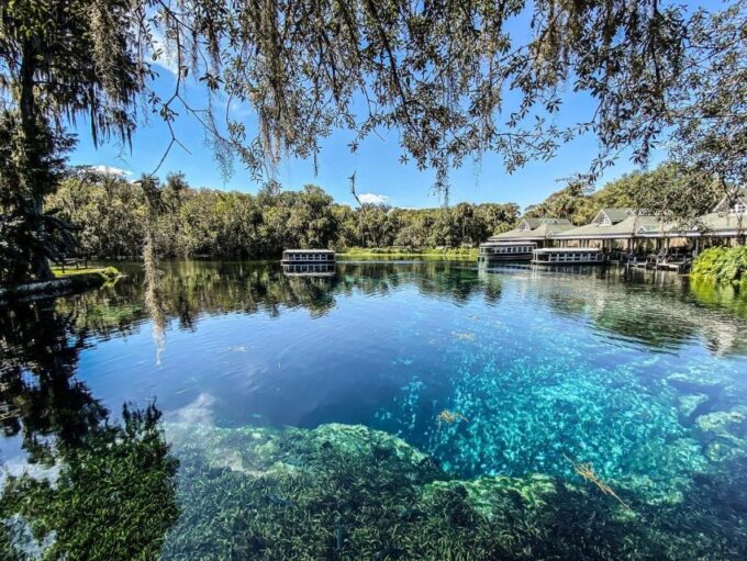Glass Bottom Kayak Guided Tour: Silver Springs - Preparing for the Tour