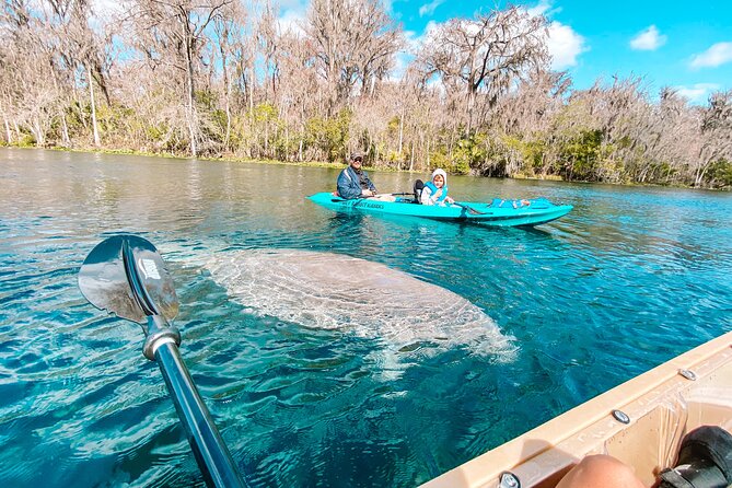 Glass Bottom Kayak Guided Tour; Silver Springs - Meeting Instructions and Location