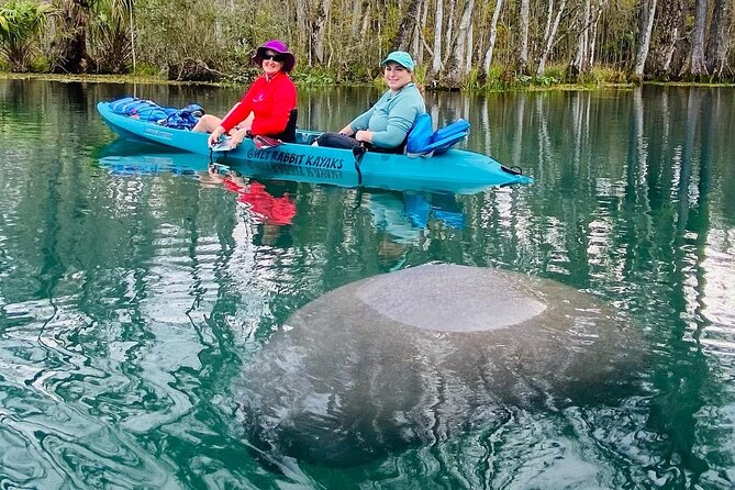 Glass Bottom Kayak Guided Tour; Silver Springs - Cancellation and Refund Policy