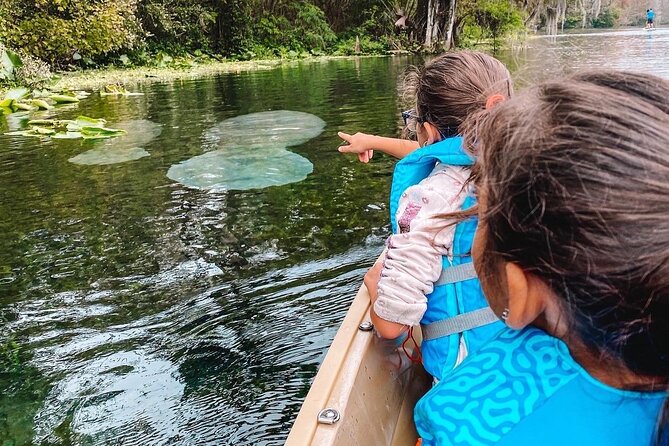 Glass Bottom Kayak Guided Tour; Silver Springs - Highlights From Customer Reviews