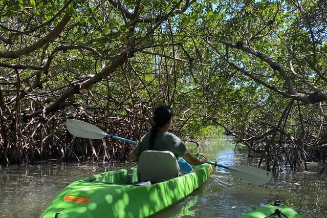 Glass Bottom Kayak Mangrove & Sandbar Adventure in St. Pete Beach - Operated by Sharkeys Glass Bottom Tours
