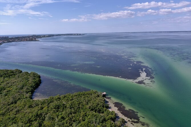 Glass Bottom Kayak Mangrove Tunnel & Sandbar Adventure Sarasota - Kayak Options and Equipment