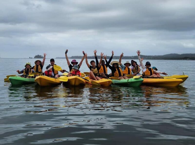 Glass Bottom Kayak Tour - Discovering Batemans Bay from a Different Perspective
