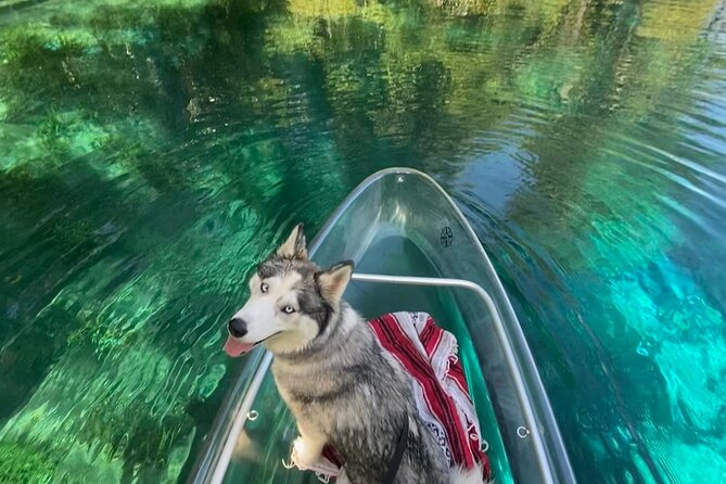 Glass Bottom Kayak Tours of Silver Springs - Accessibility and Restrictions