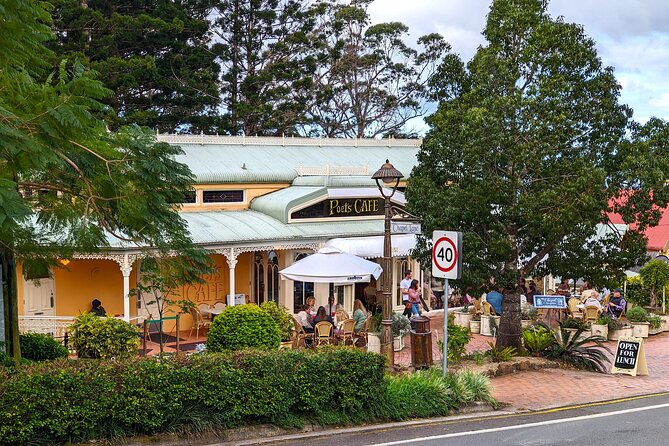 Glass House Mountains, Maleny and Montville Tour From Brisbane - Accessibility & Participation
