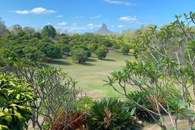Glass House Mountains Tour with Lunch, Lookouts, and Nature Walks - Authentic Experiences Verified by Reviews