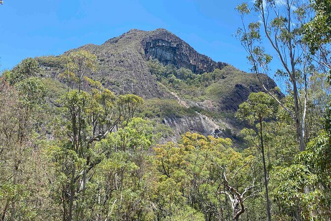 Glass House Mountains Tour with Lunch, Lookouts, and Nature Walks - FAQ
