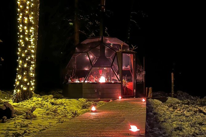 Glass Igloo Campfire Dinner Under Northern Lights - Unparalleled Ratings and Recommendations