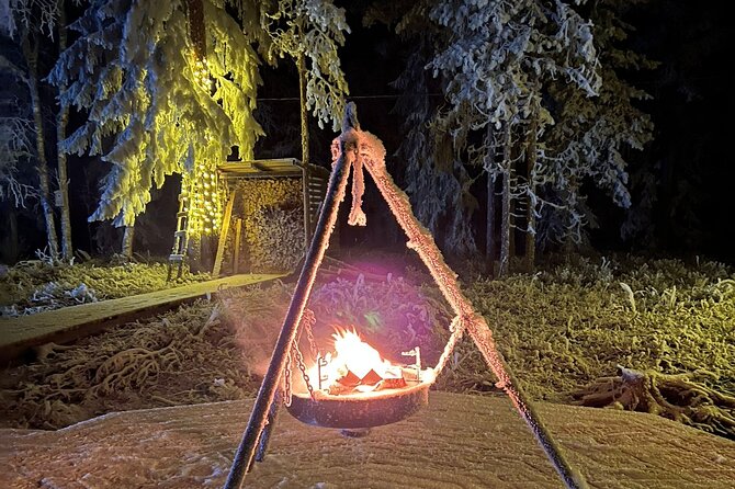 Glass Igloo Campfire Dinner Under Northern Lights - Flexible Booking and Accessibility Options