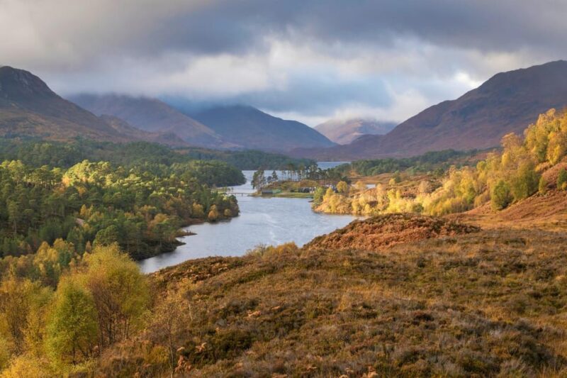 Glen Affric Guided Winter Walk - Experience and Highlights