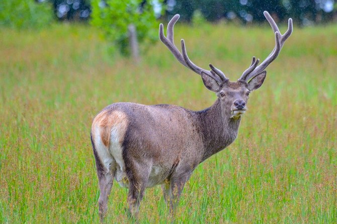 Glenaladale Cruise - Great for Wizard Spotting! - Historical Landmarks and Harry Potter