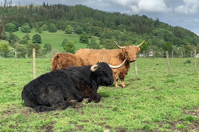 Glencoe, Central Highlands, Rob Roy, Whisky, Private Tour - Central Highlands Adventure