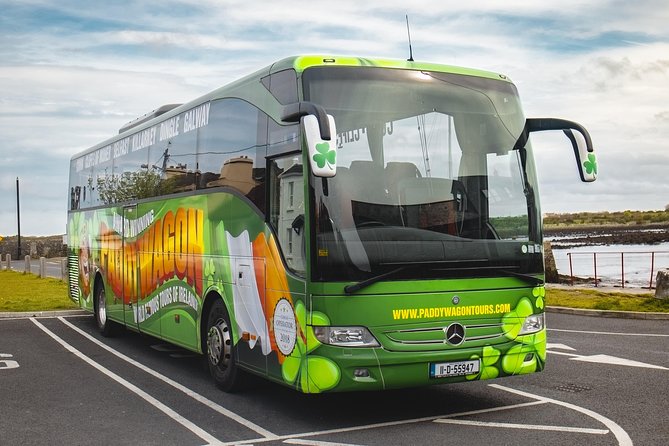 Glendalough Day Tour From Dublin: Including Kilkenny City - Visiting the Wicklow Mountains
