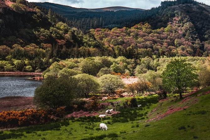 Glendalough Day Tour From Dublin: Including Kilkenny City - Booking and Confirmation