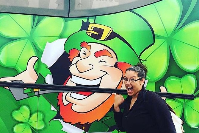 Glendalough & Wicklow Mountains Afternoon Tour From Dublin - Tour Accessibility