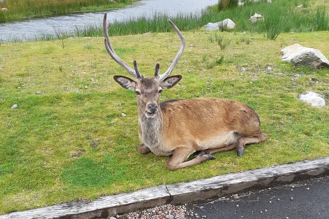 Glenelg, Plockton and Applecross - Exploring Glenelg