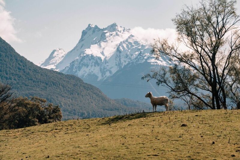 Glenorchy Half-Day 4WD Lord Of the Rings Tour - Guidance and Commentary
