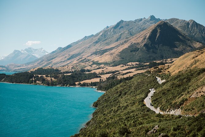 Glenorchy Kiwi Special Tour - Tour Highlights