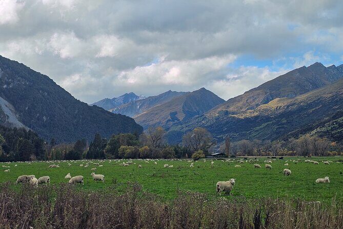Glenorchy Private Day Trip from Queenstown: TravelnGo - The Sum Up
