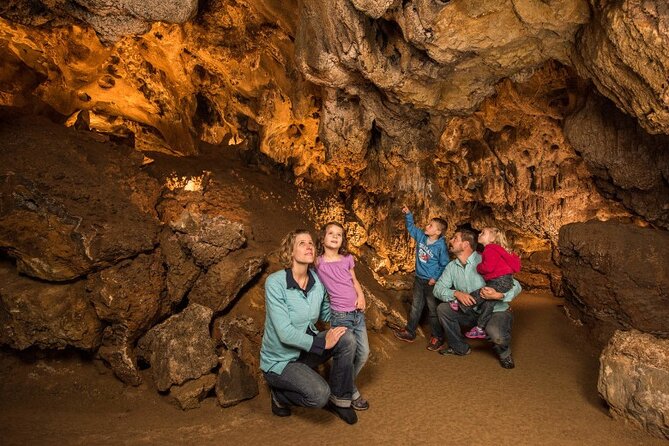 Glenwood Adventure Park Tour - Important Details