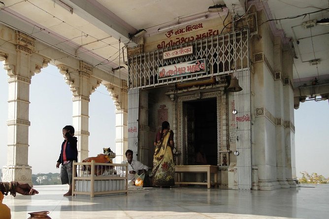 Glimpses of Wildlife & Footstep of Gandhi Gujarat Tour (10 Days) - Accommodations and Amenities
