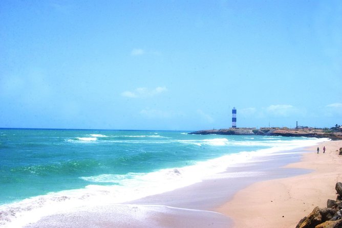 Glimpses of Wildlife & Footstep of Gandhi Gujarat Tour (10 Days) - Gandhis Footsteps