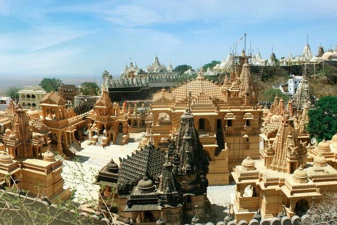 Glimpses of Wildlife & Footstep of Gandhi Gujarat Tour (10 Days) - Cultural Immersion