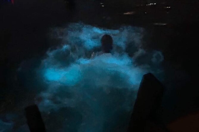 Glistening Waters Luminous Lagoon Night Tour With French Guide - About Your Stay