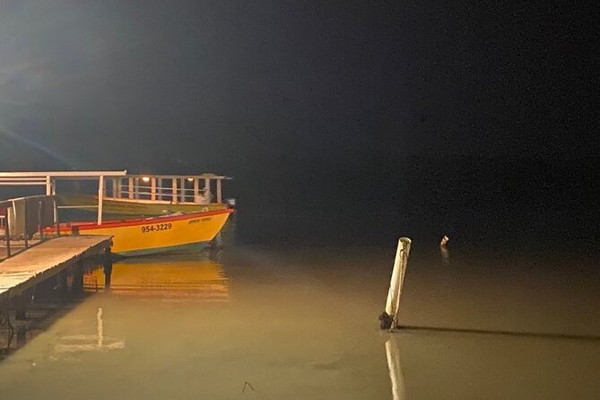 Glistening Waters Luminous Lagoon Night Tour With French Guide - What to Expect