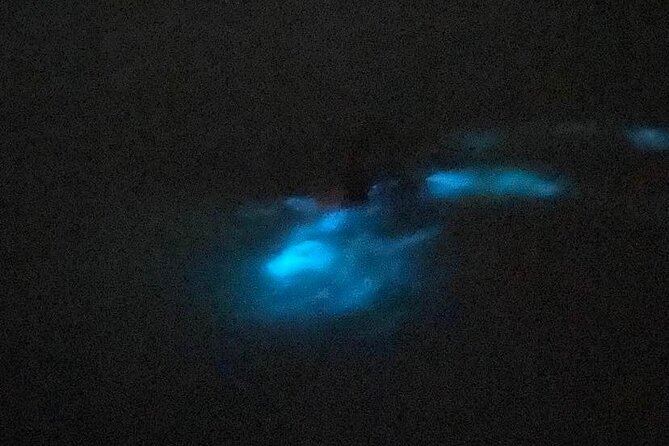 Glistening Waters Luminous Lagoon Night Tour With French Guide - About the Guide