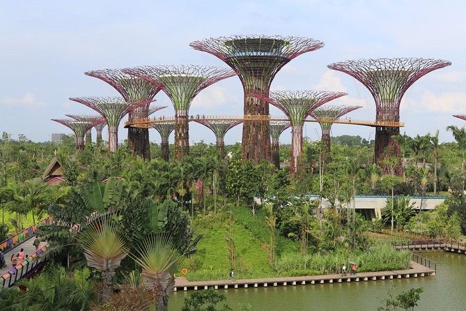 Glittering Singapore Night Out + Roundtrip Transfers - Key Points
