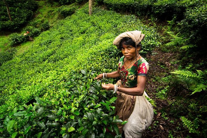 Glory Of Bangladesh Tour - Itinerary Overview