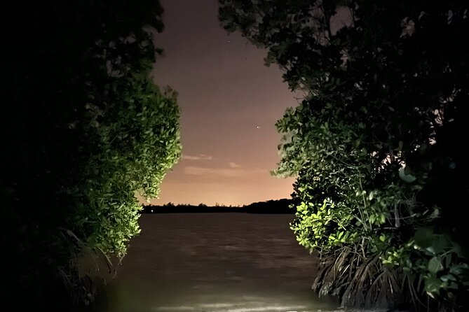 GLOW Clear Kayak Tour - Accessibility and Restrictions