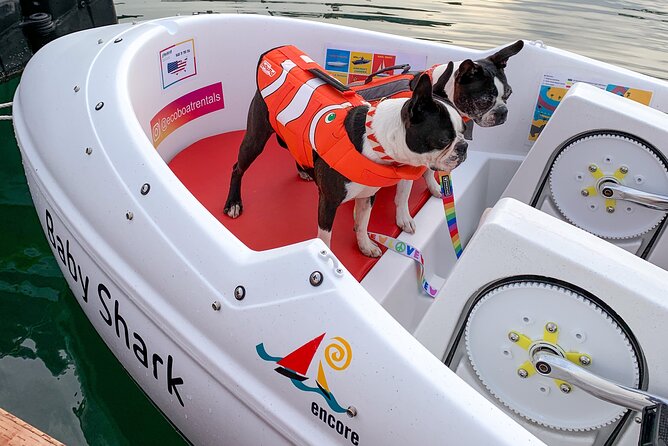 Glow Pedal Boat Rental in San Diego Bay! Night Date Idea! - Opportunity to See Downtown San Diego