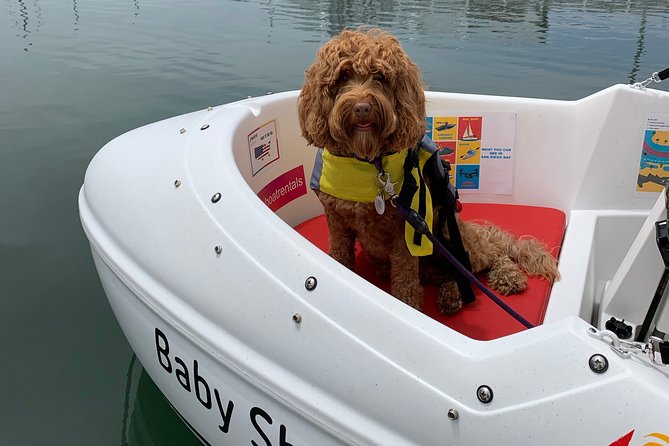 Glow Pedal Boat Rental in San Diego Bay! Night Date Idea! - Accessibility and Weather Considerations
